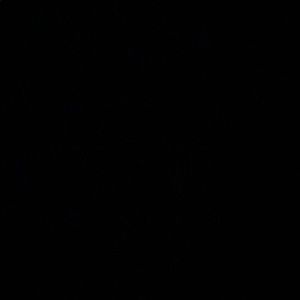 Meet the Posher, MYLES